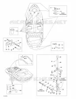 Body And Accessories 4