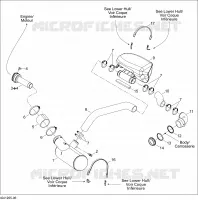 Exhaust System