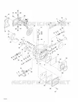 Carburetor(s)