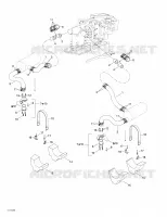 Exhaust System