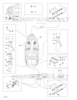 Body And Accessories 1