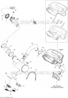 Exhaust System