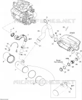 Exhaust System