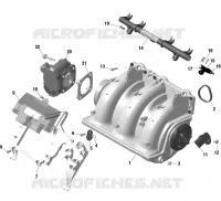 Engine - Air Intake Manifold - GTX - RXT