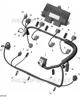 Engine Harness - 300