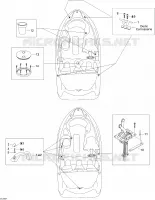 Body And Accessories