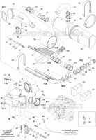 Exhaust System