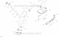 Exhaust System