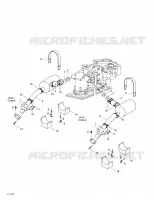 Exhaust System