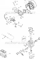 Oil Injection Pump And Rotary Valve