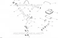 Exhaust System