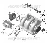 Air Intake Manifold And Throttle Body