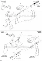 Exhaust System