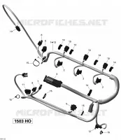 Engine Harness