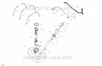 Engine - Fuel