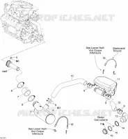 Exhaust System
