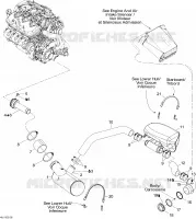 Exhaust System