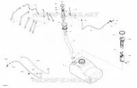 Engine - Fuel