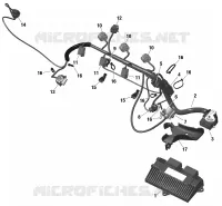 Rotax - Engine Harness And Electronic Module - GTI / Built from Sept 29 2020