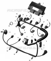 Engine Harness And Electronic Module