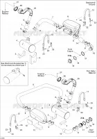 Exhaust System