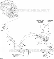 Exhaust System