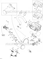 Exhaust System