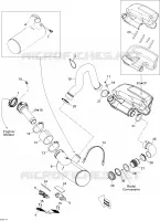 Exhaust System