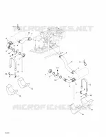 Exhaust System