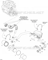 Exhaust System