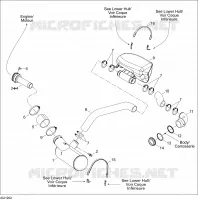 Exhaust System