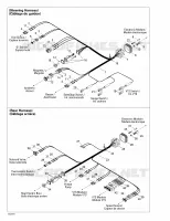 Electrical Harness