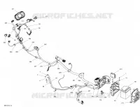 Electrical System