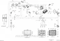 Electrical Harness Main