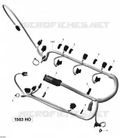 Engine Harness