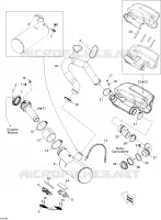 Exhaust System