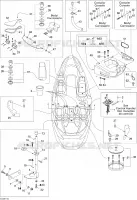 Body And Accessories