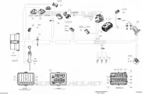 Electrical Harness