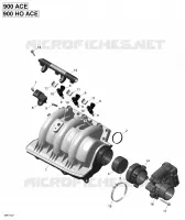 Air Intake Manifold and Throttle Body - 900-900 HO ACE