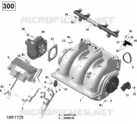 Air Intake Manifold And Throttle Body - 300