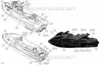 Decals - All Models