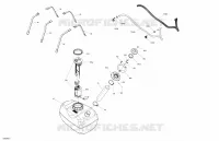 Engine - Fuel