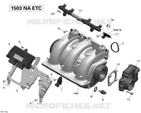 Air Intake Manifold And Throttle Body Sea-Doo