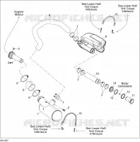 Exhaust System
