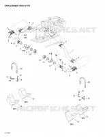 Exhaust System