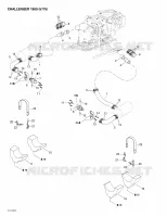 Exhaust System