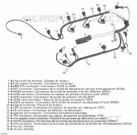 Engine Harness