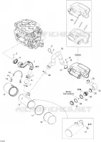 Exhaust System