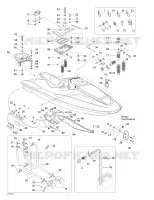 Body, Front View
