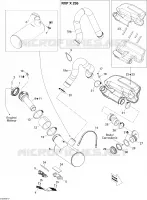 Exhaust System